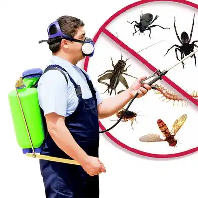 pest control North Tunica